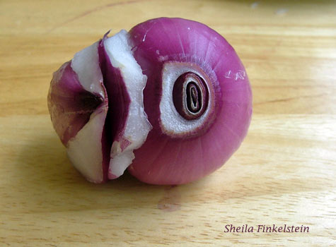 red onion - peeling lay 7 from small bulb part