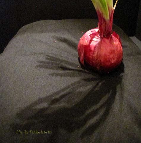 red onion on a pillow - cast shadows