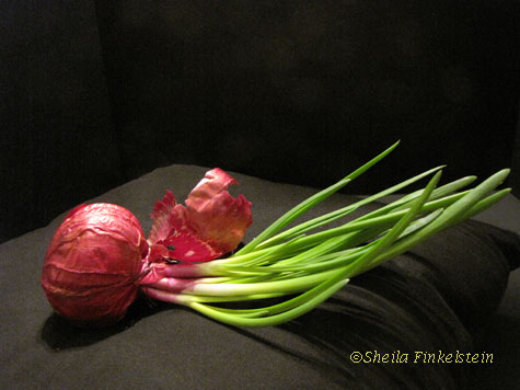 spouting red onion on its side