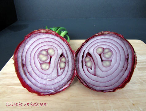 Two halves of a red onion
