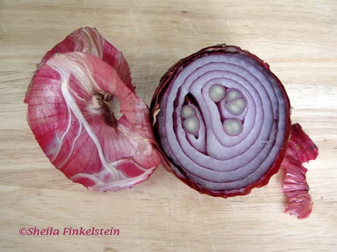 cut red onion with peel