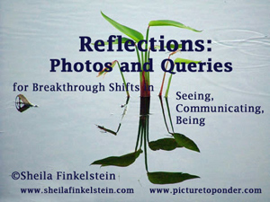 fireflag reflections - calligraphy - reflections bonus